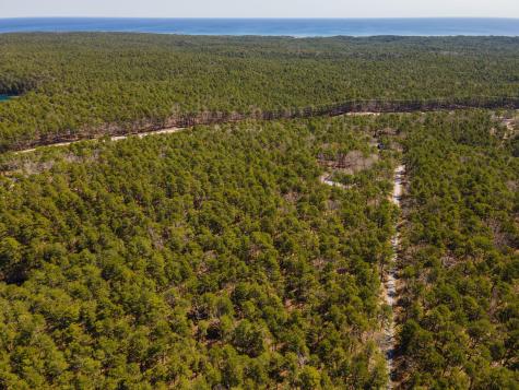175 Delphi Path Wellfleet MA 02667