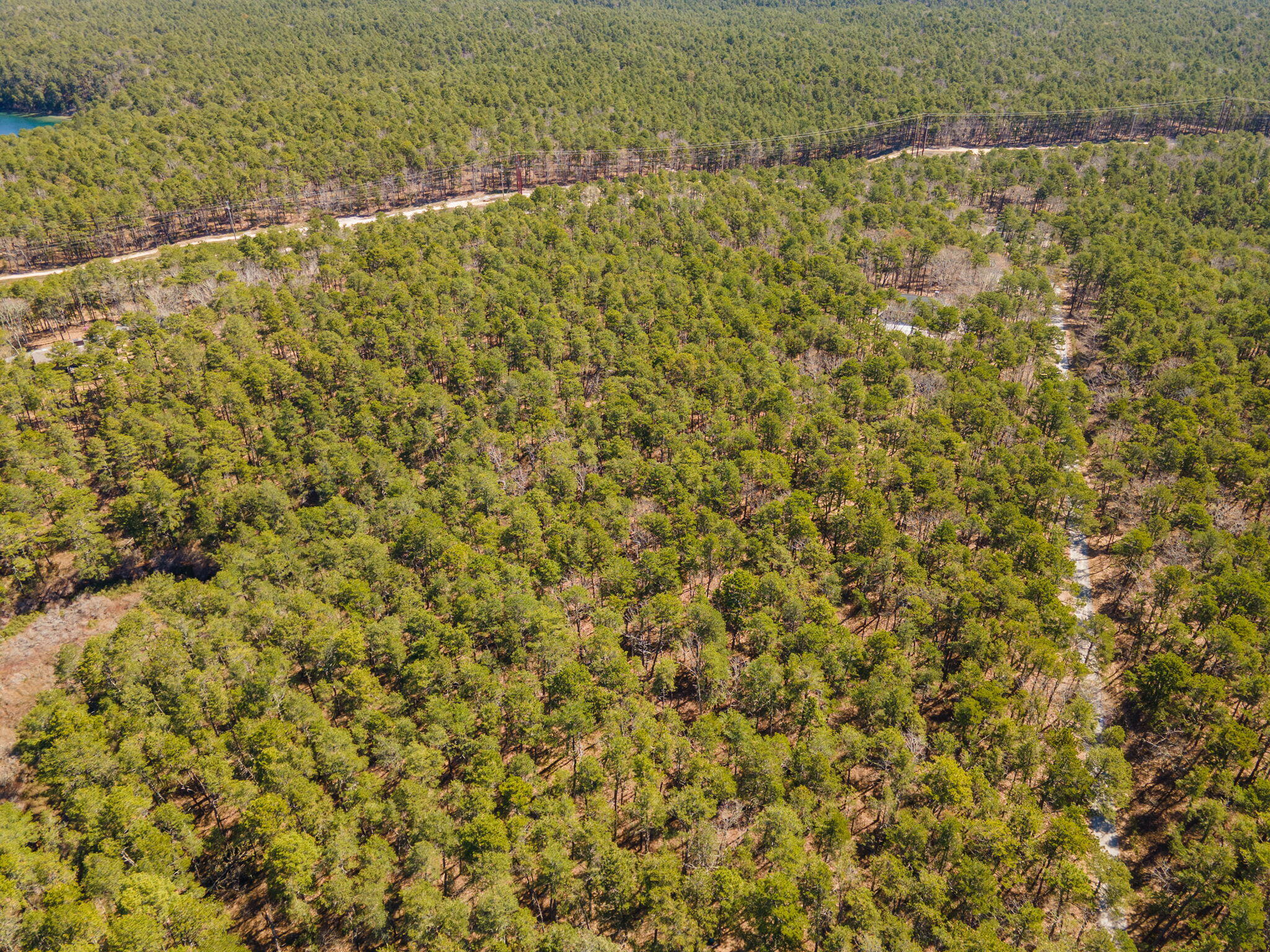 175 Delphi Path Wellfleet MA 02667