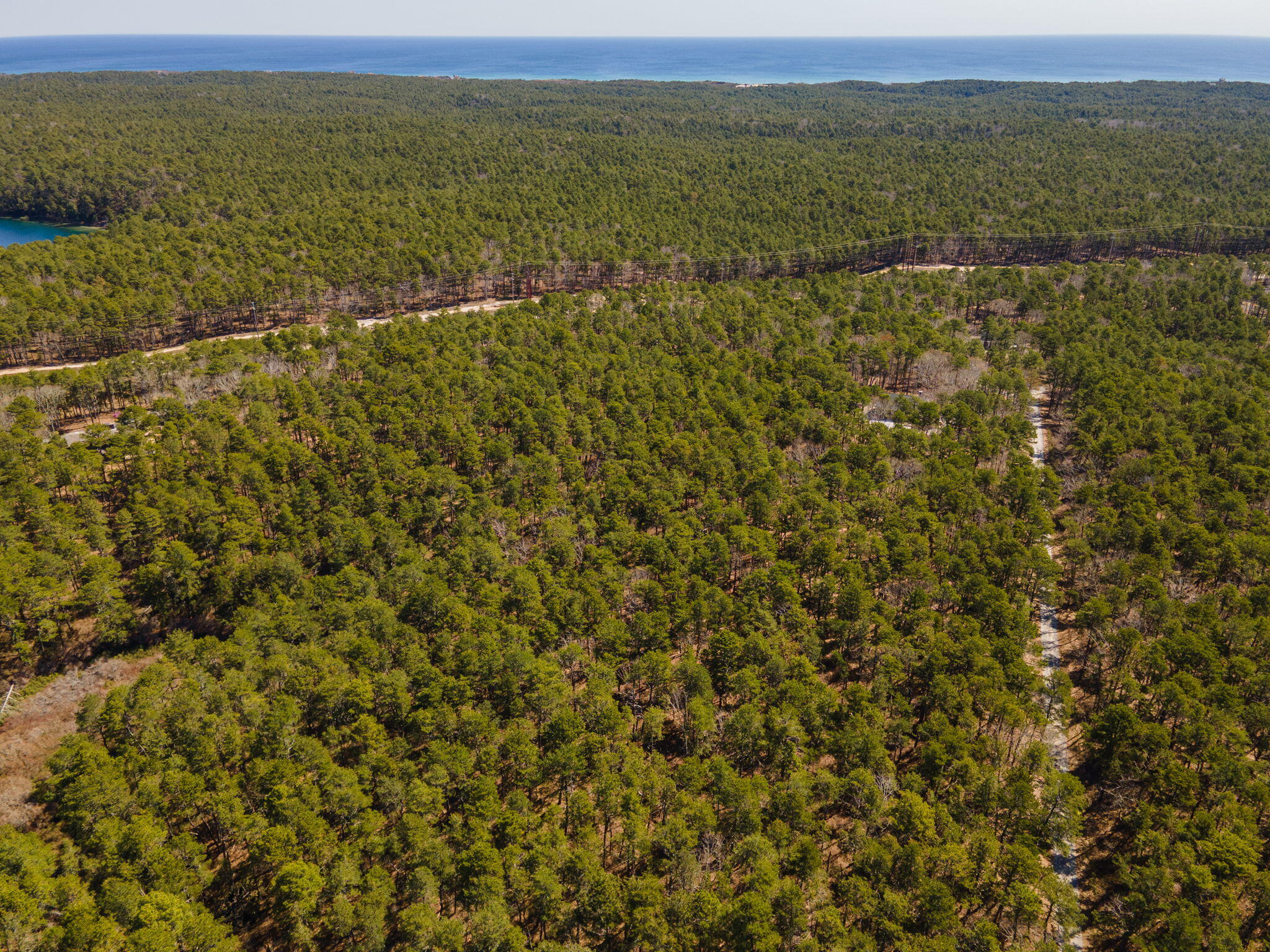 175 Delphi Path Wellfleet MA 02667