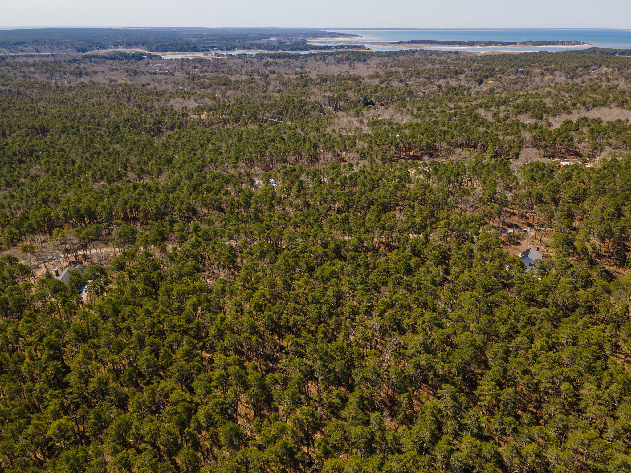 175 Delphi Path Wellfleet MA 02667