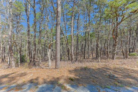 175 Delphi Path Wellfleet MA 02667