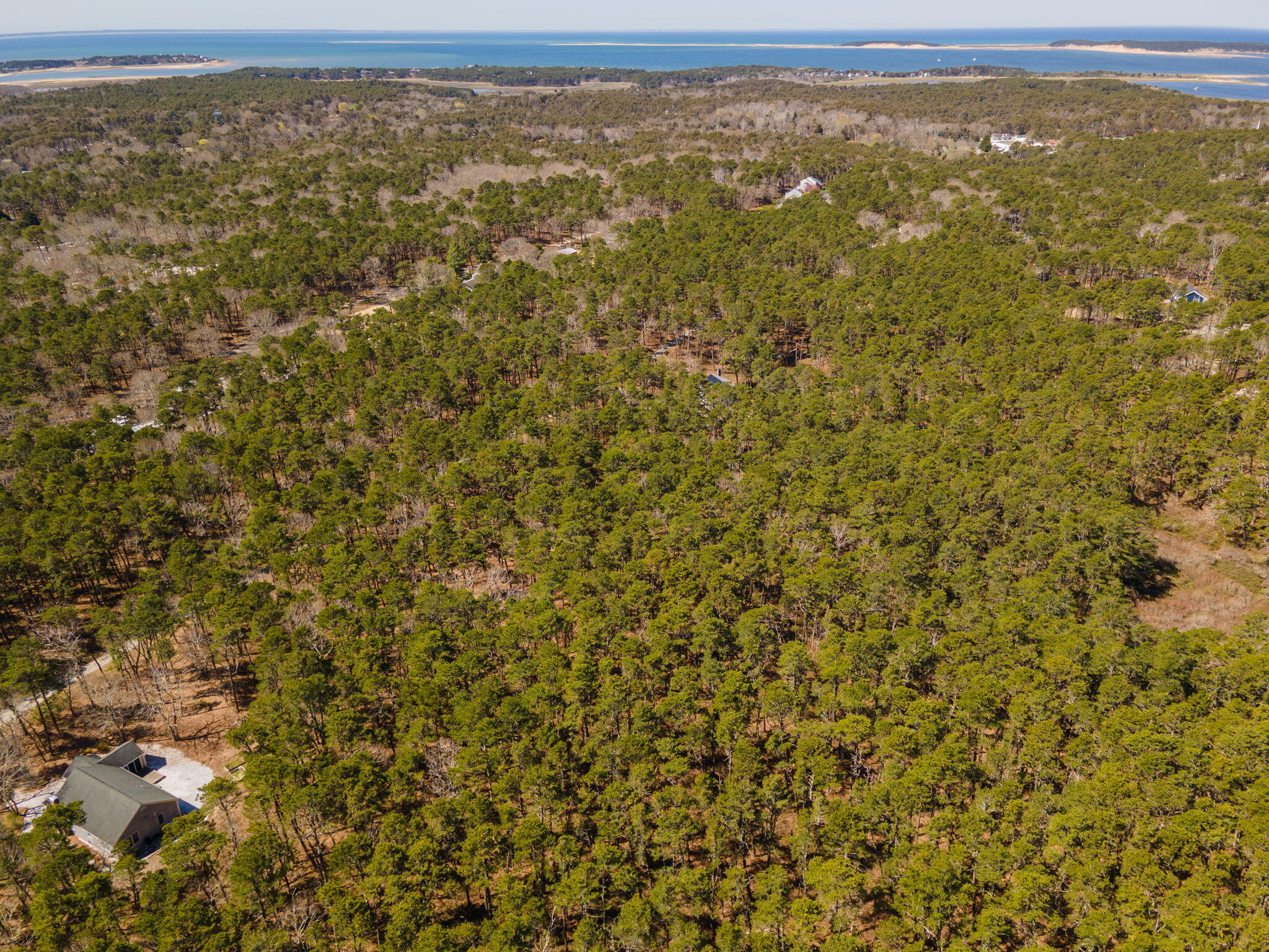 175 Delphi Path Wellfleet MA 02667