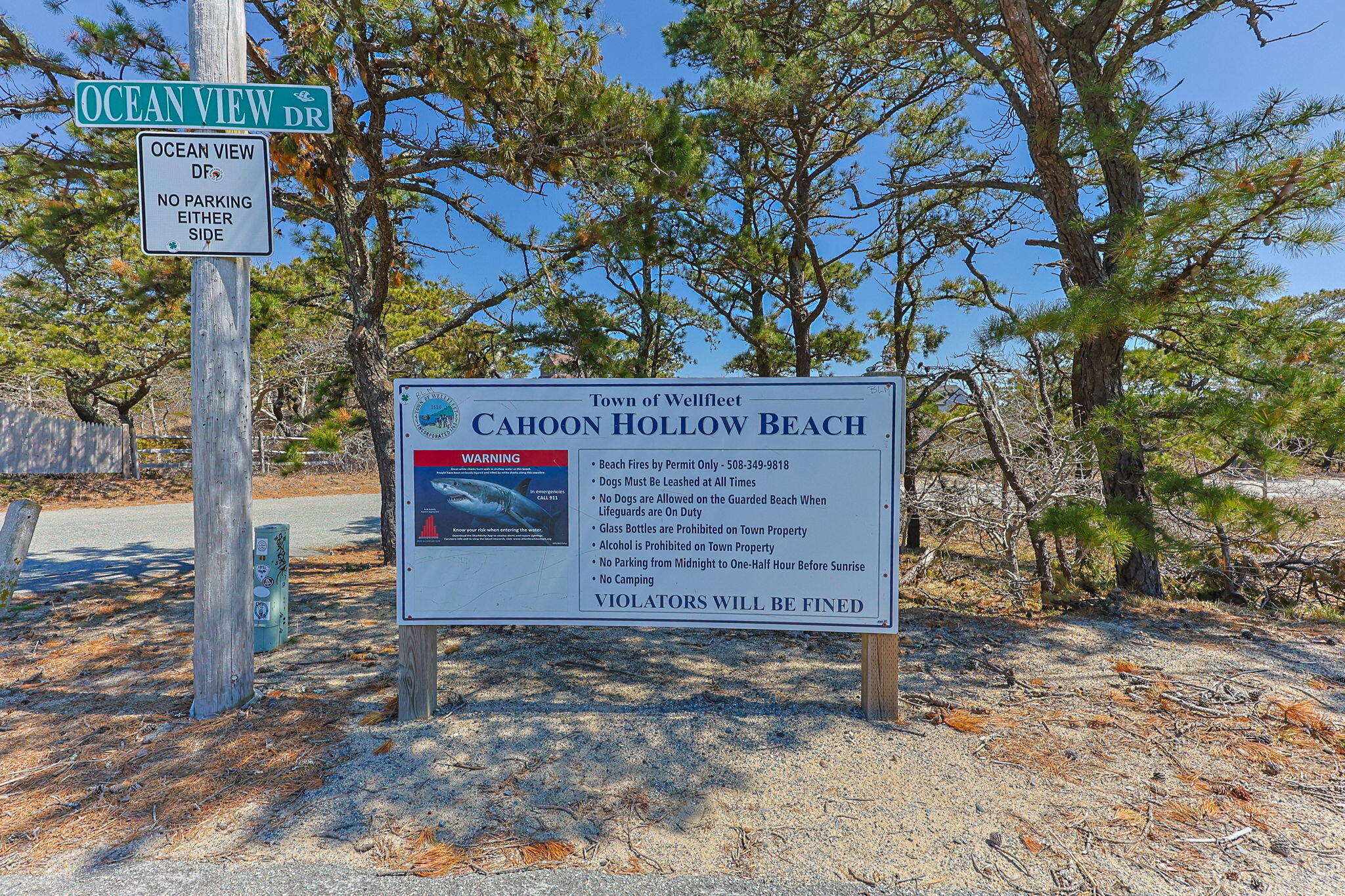 175 Delphi Path Wellfleet MA 02667