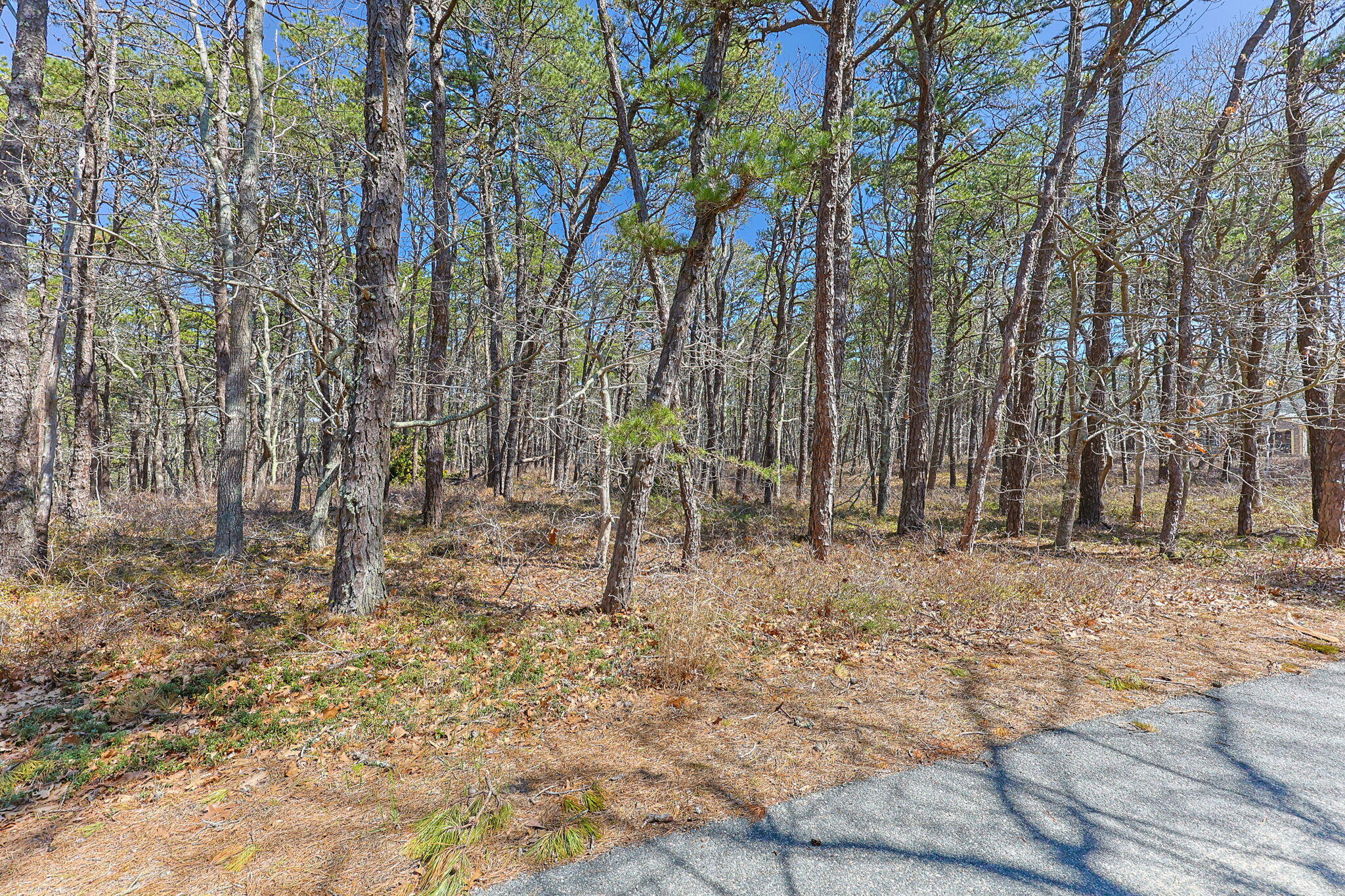 175 Delphi Path Wellfleet MA 02667
