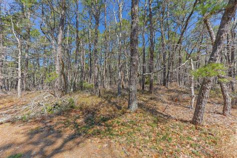175 Delphi Path Wellfleet MA 02667