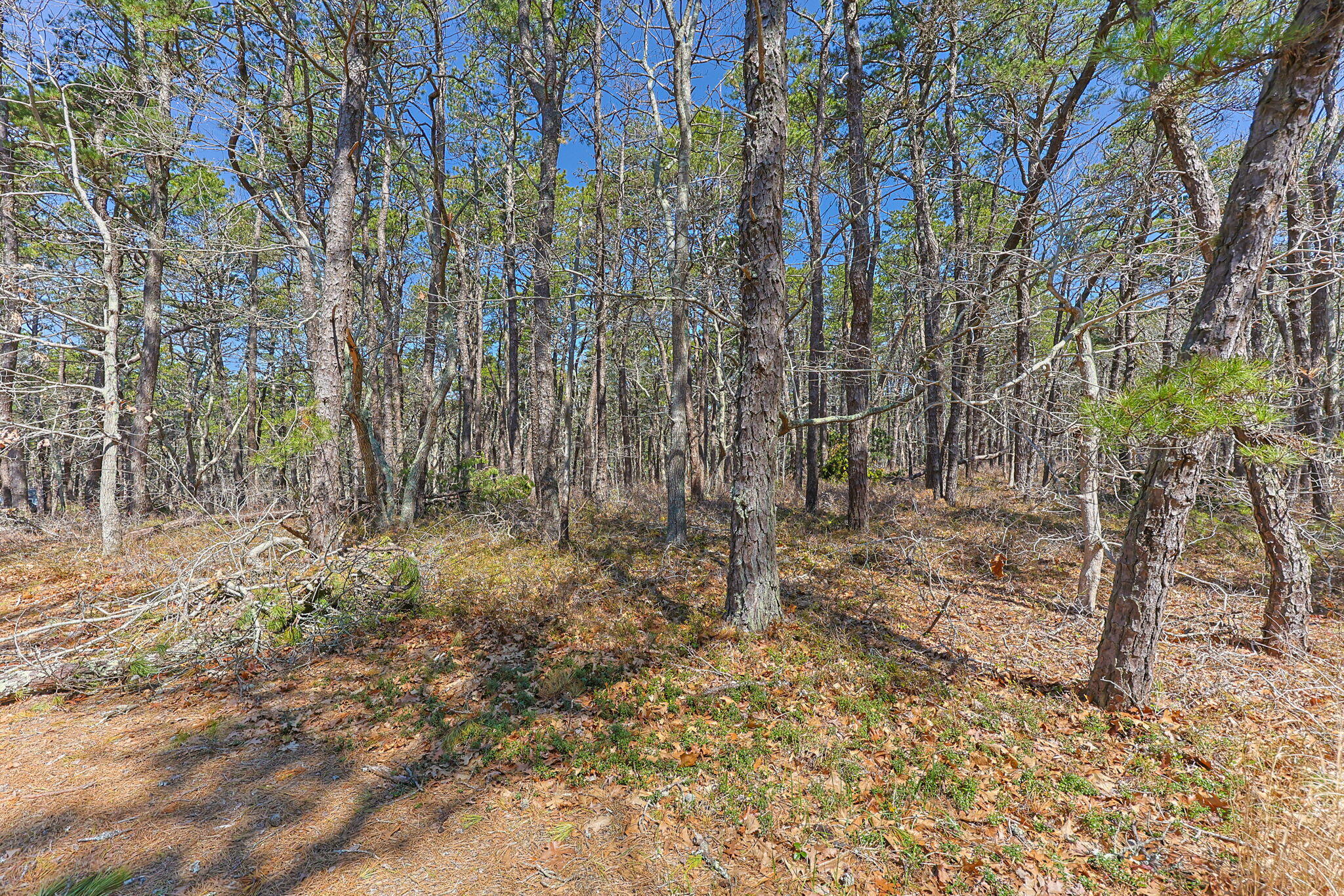175 Delphi Path Wellfleet MA 02667