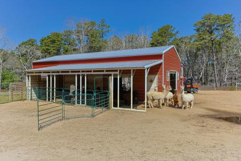 175 Delphi Path Wellfleet MA 02667