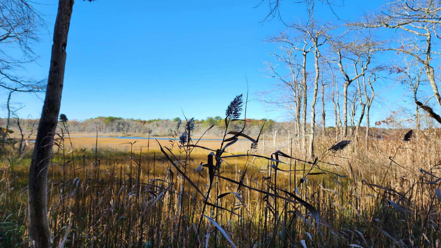 27 Angus Avenue Yarmouth MA 02664