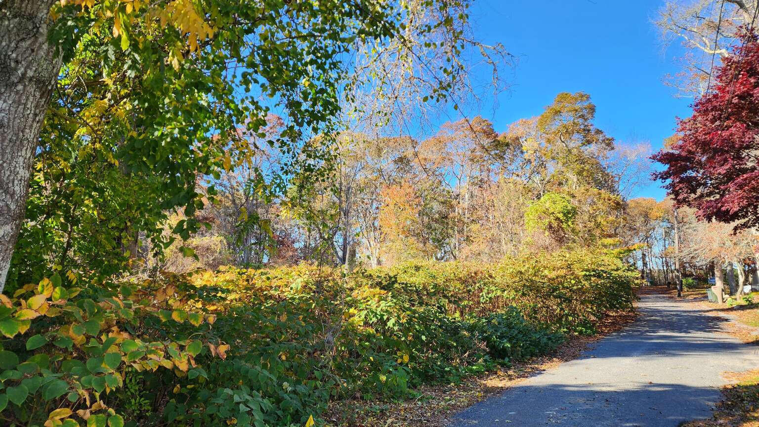 27 Angus Avenue South Yarmouth MA 02664