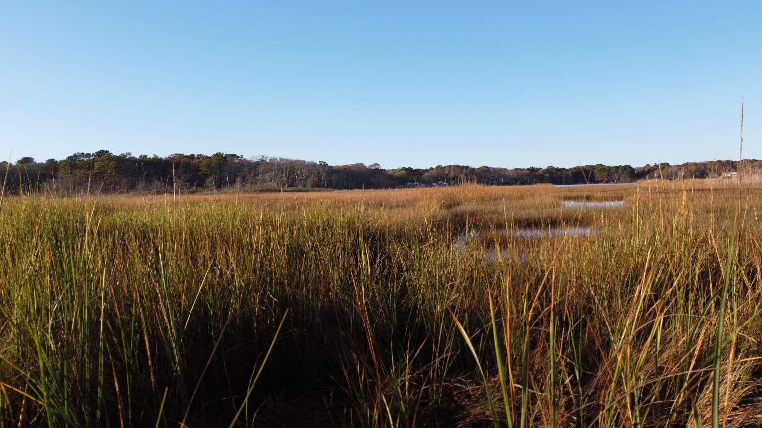 27 Angus Avenue Yarmouth MA 02664