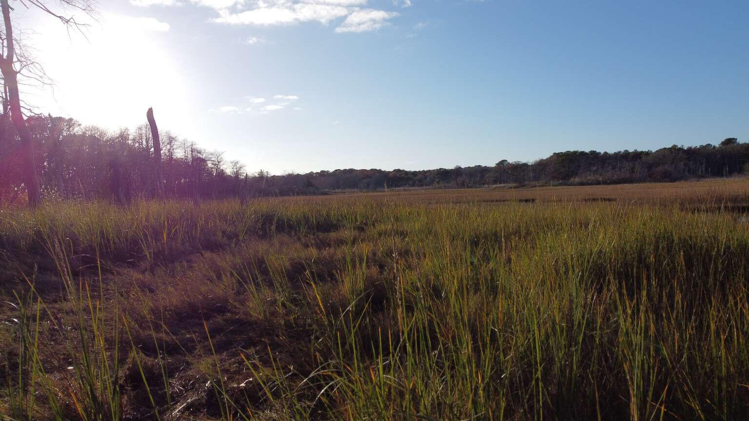 27 Angus Avenue Yarmouth MA 02664