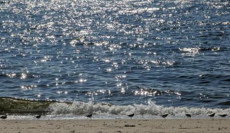 4 Sandpiper Road Truro MA 02666