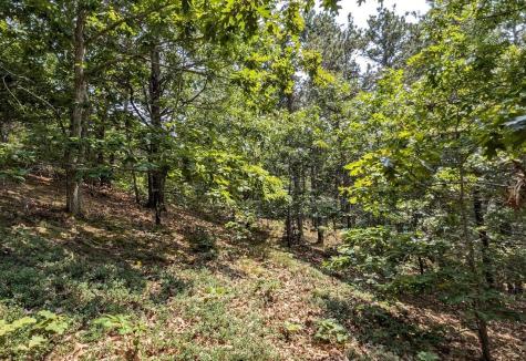 4 Sandpiper Road Truro MA 02666