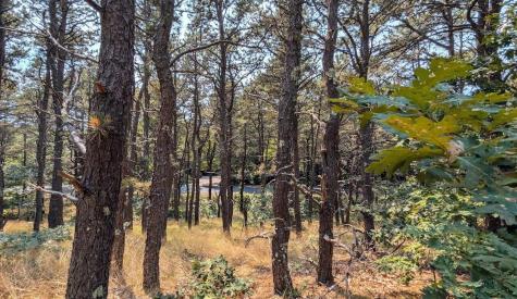 4 Sandpiper Road Truro MA 02666