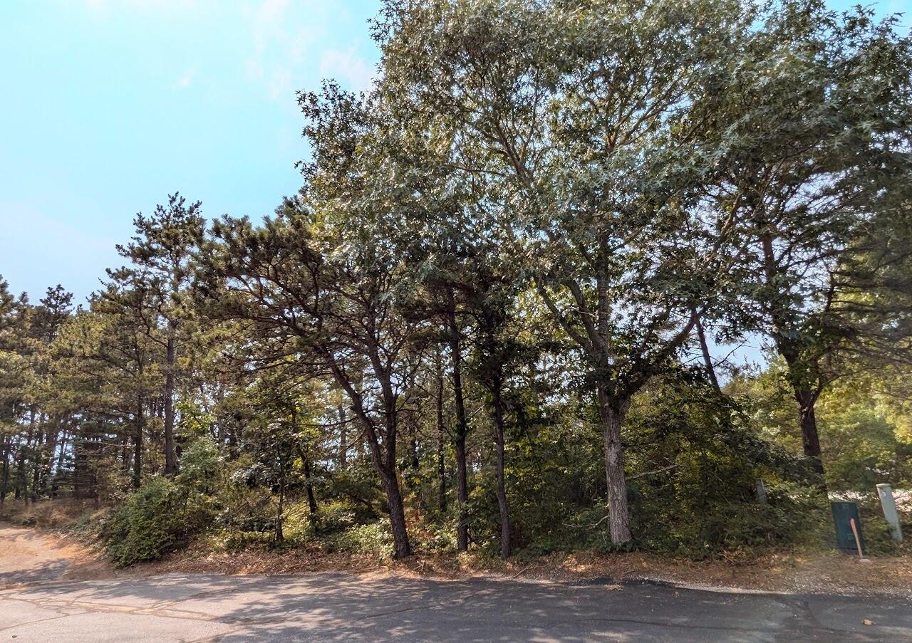 4 Sandpiper Road Truro MA 02666