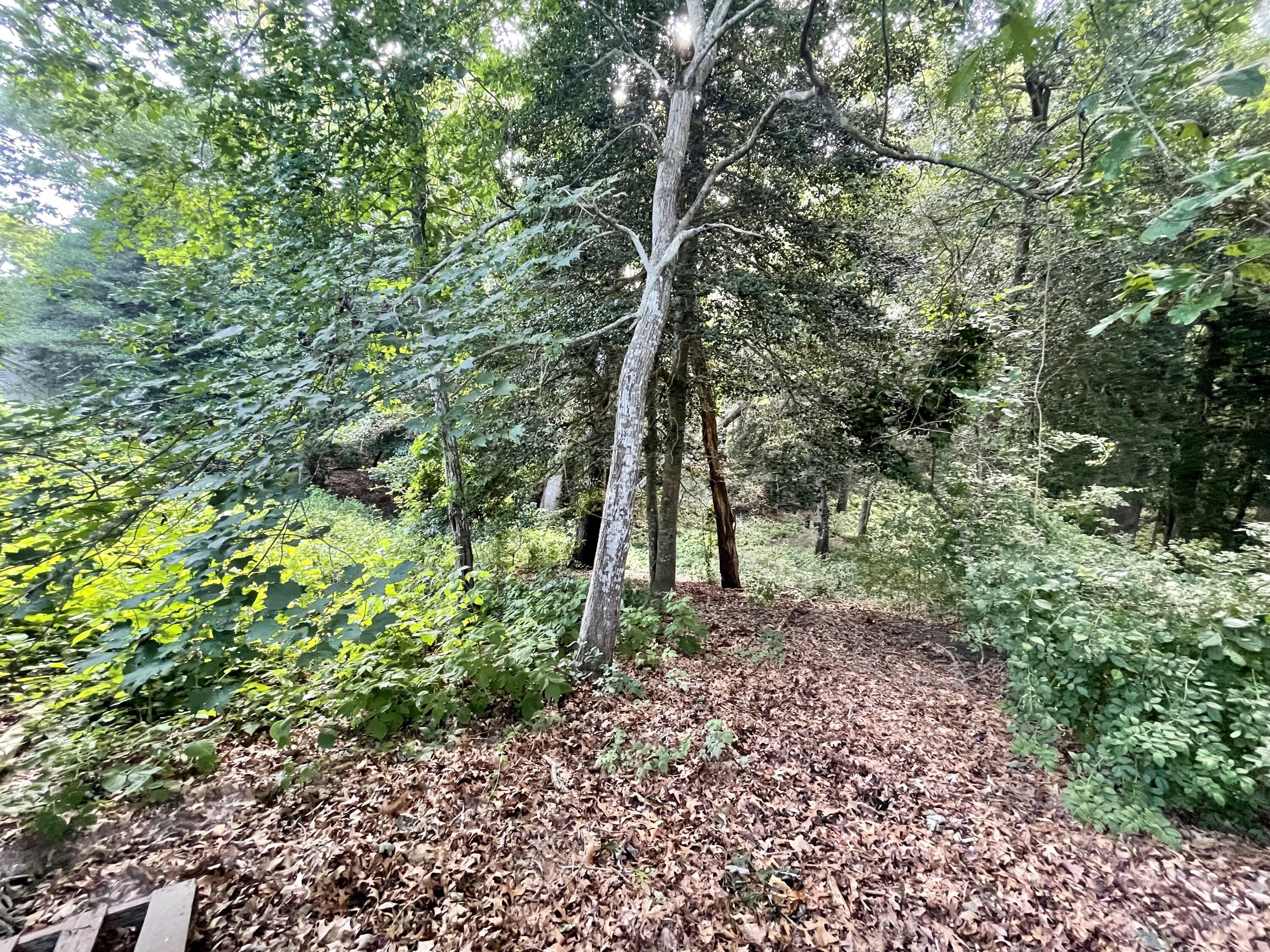 123 Old Post Road, Barnstable MA photo 2