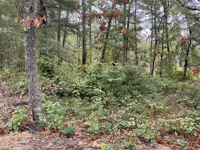 78 Brittany Drive Barnstable MA 02635