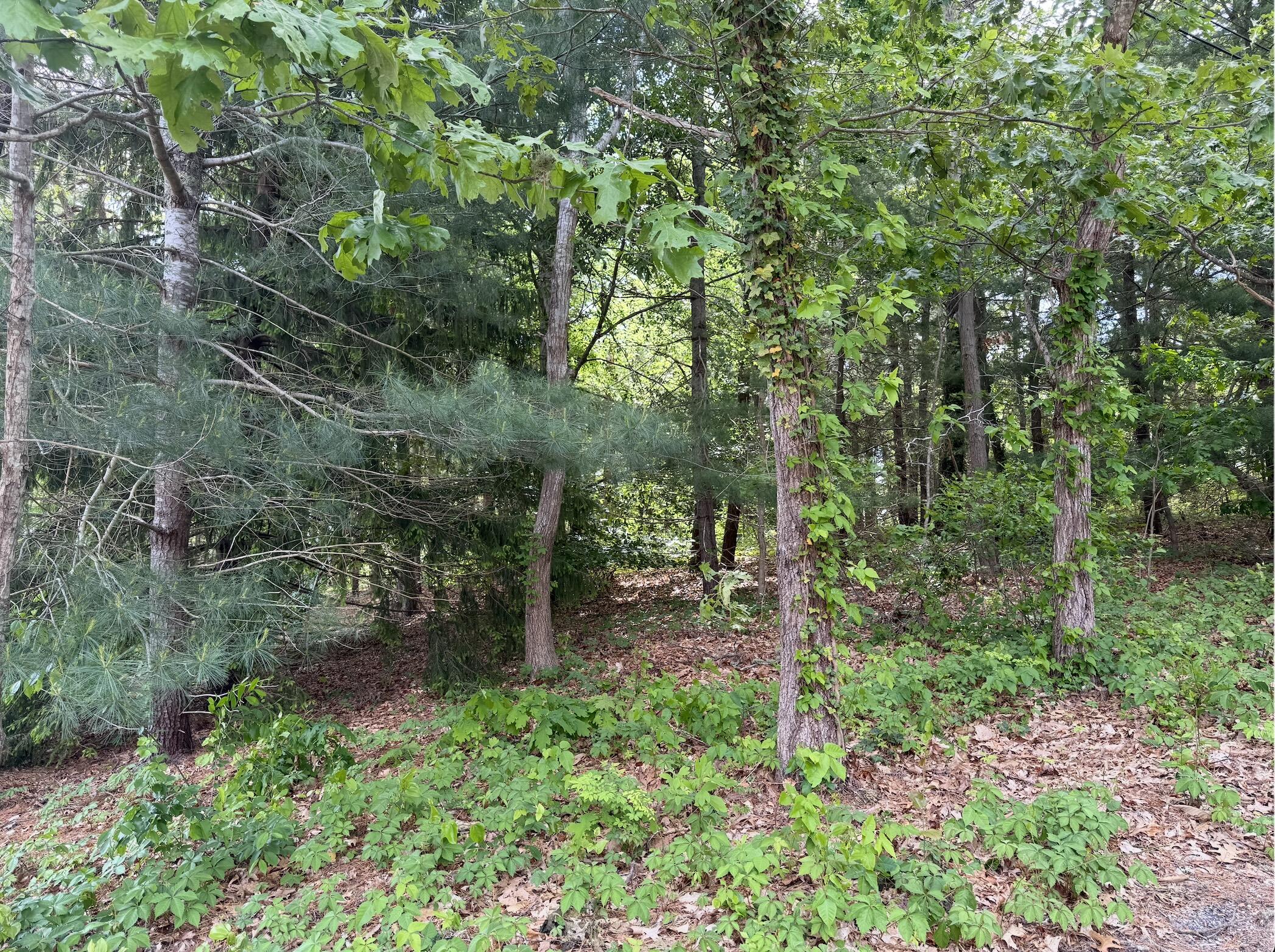 17 Fairmount Road MA 02660
