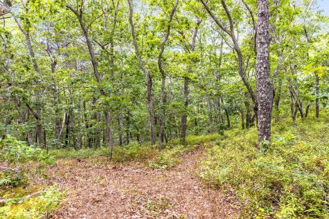 35A Higgins Hollow Road Truro MA 02652