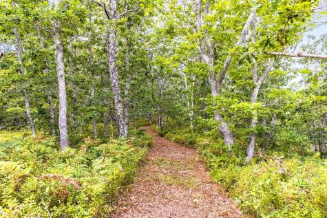 35A Higgins Hollow Road Truro MA 02652