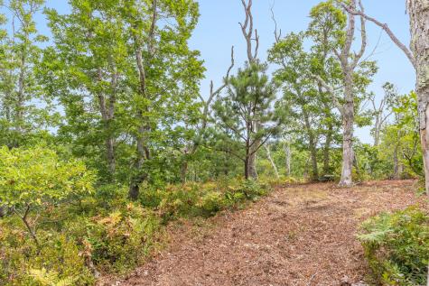 35A Higgins Hollow Road Truro MA 02652