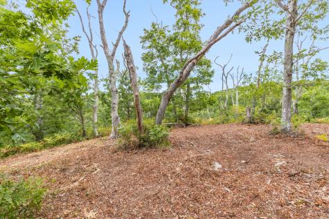 35A Higgins Hollow Road Truro MA 02652
