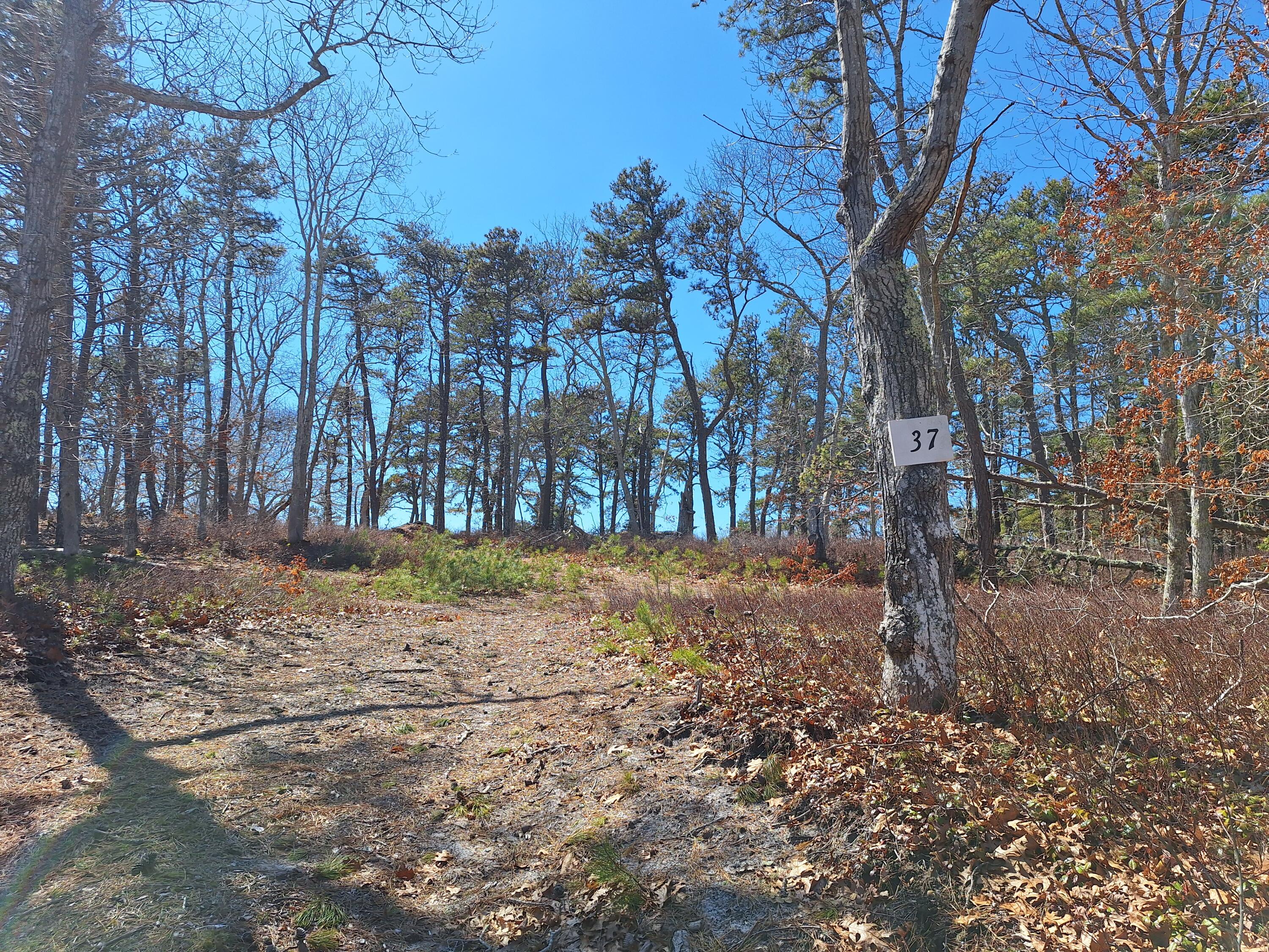 37 Oak Valley Road Wellfleet MA 02667
