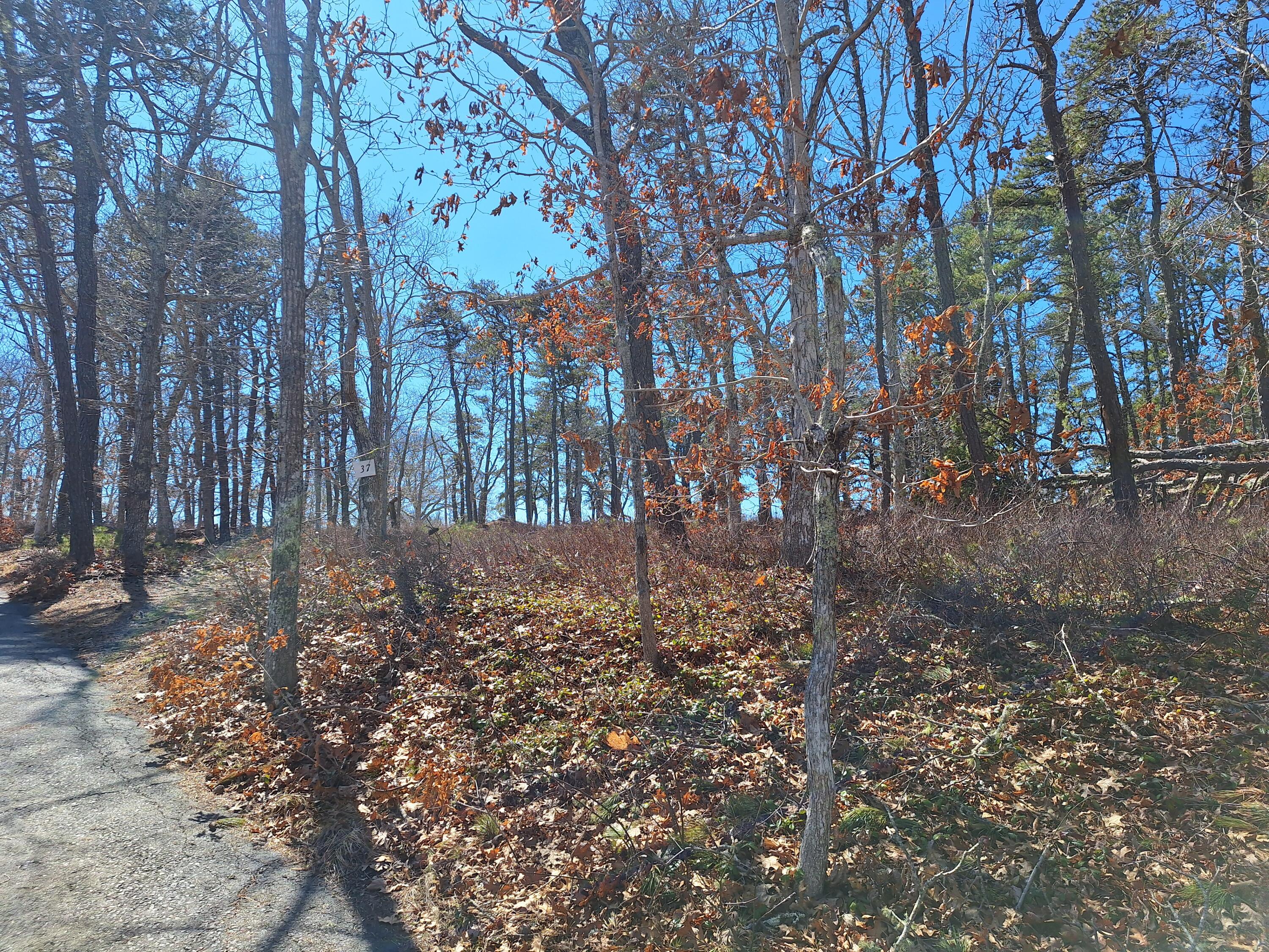 37 Oak Valley Road Wellfleet MA 02667