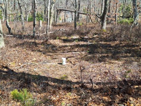 37 Oak Valley Road Wellfleet MA 02667