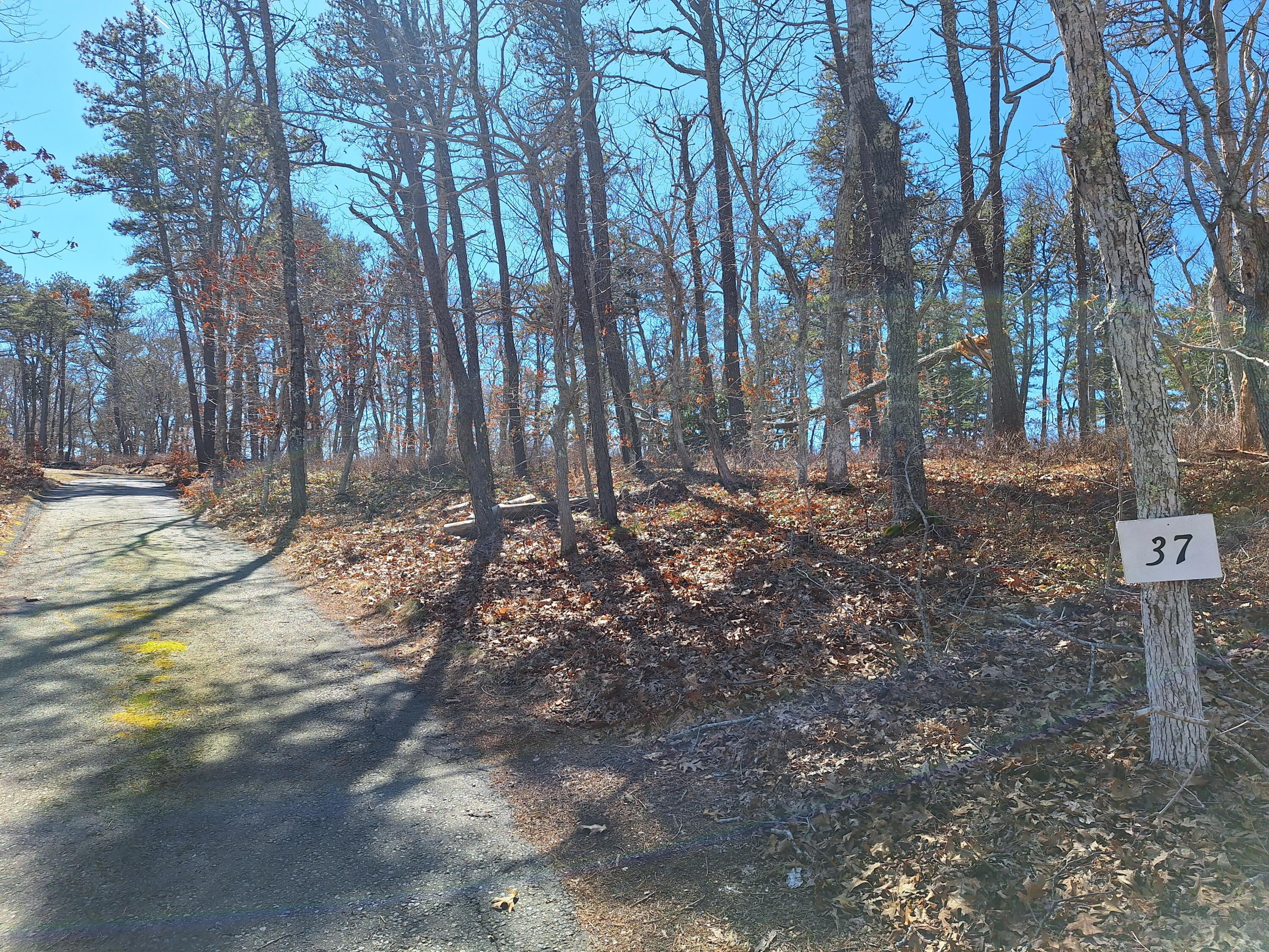 37 Oak Valley Road Wellfleet MA 02667