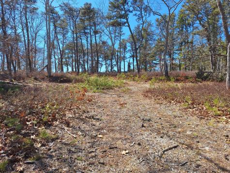 37 Oak Valley Road Wellfleet MA 02667