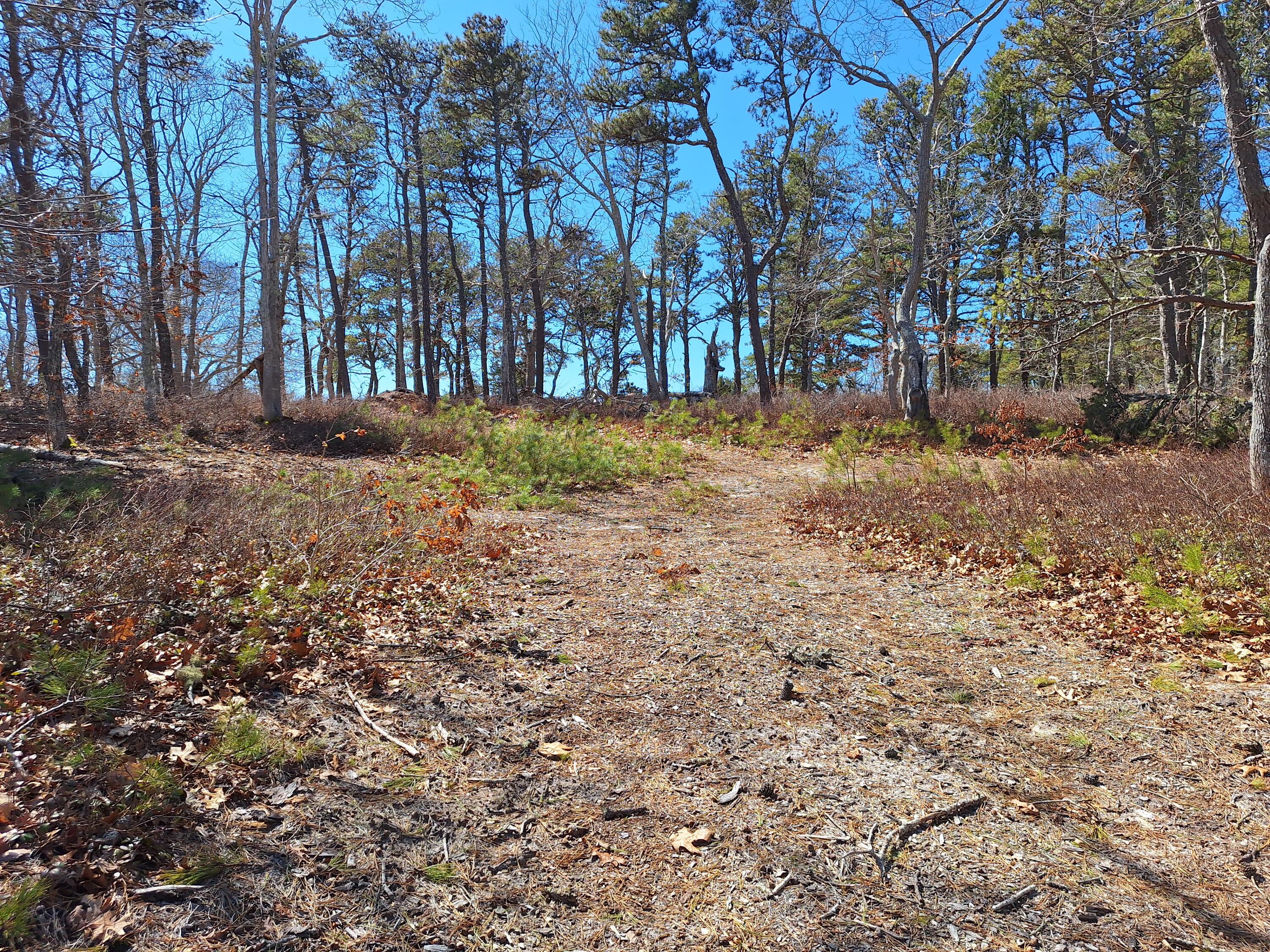 37 Oak Valley Road Wellfleet MA 02667