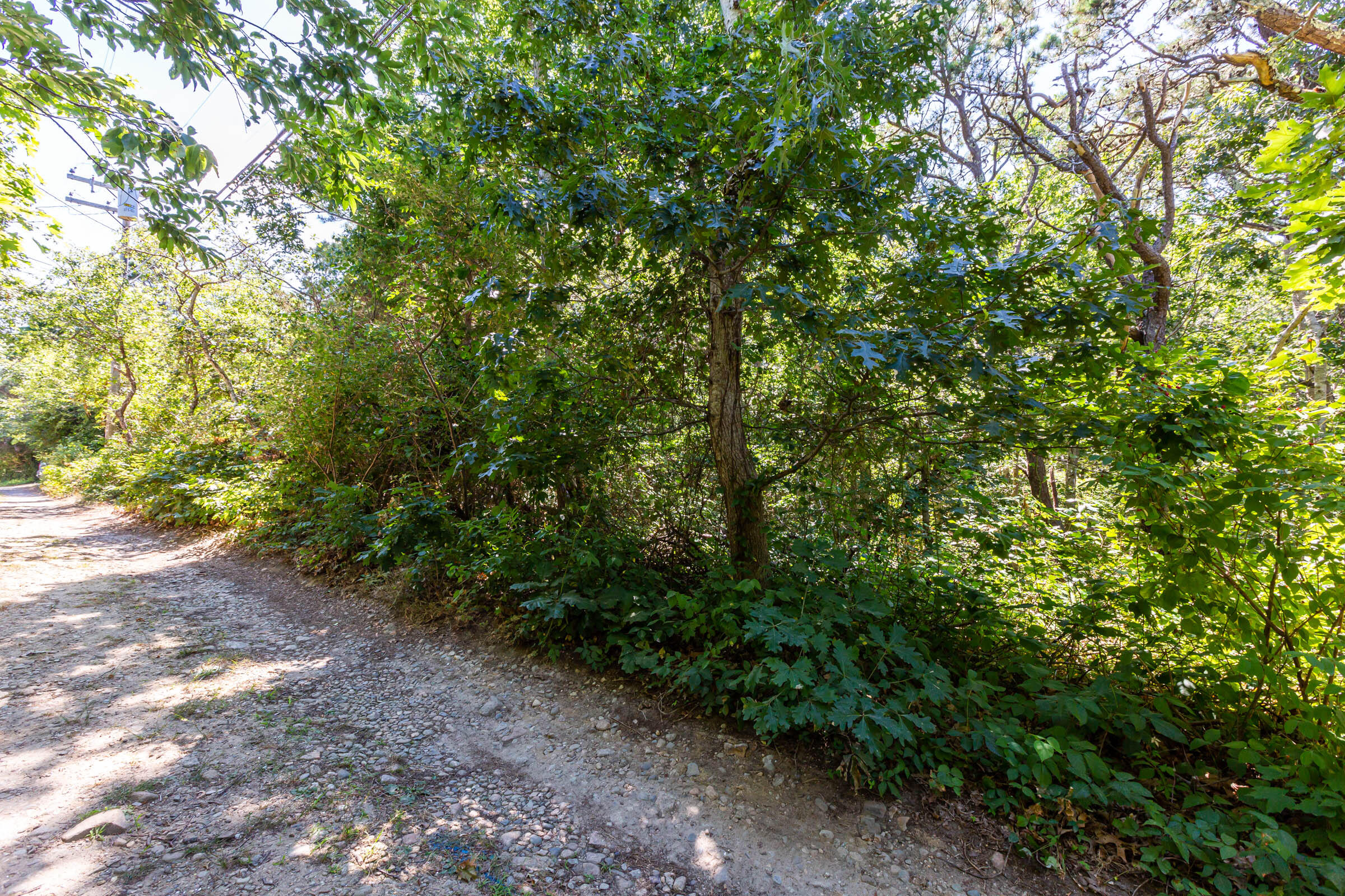 0 Partridge Circle Brewster MA 02631