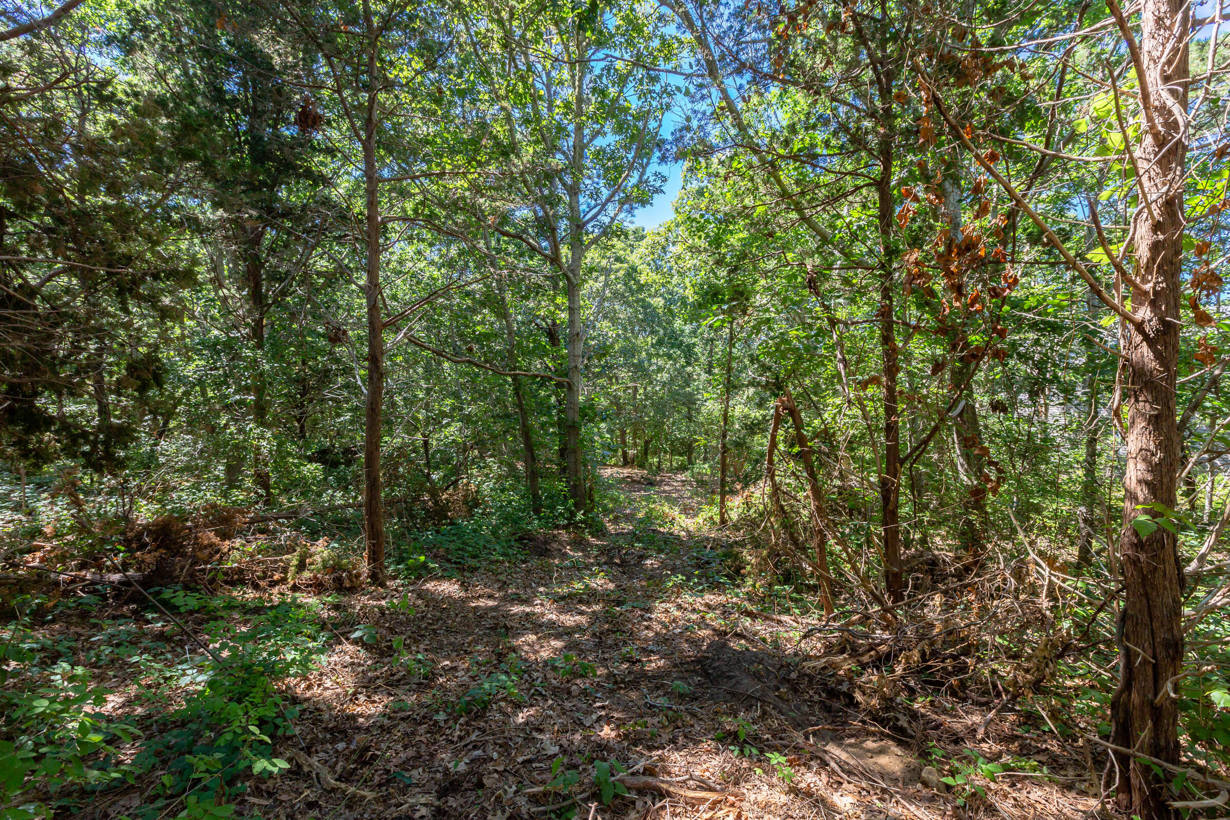 0 Partridge Circle Brewster MA 02631