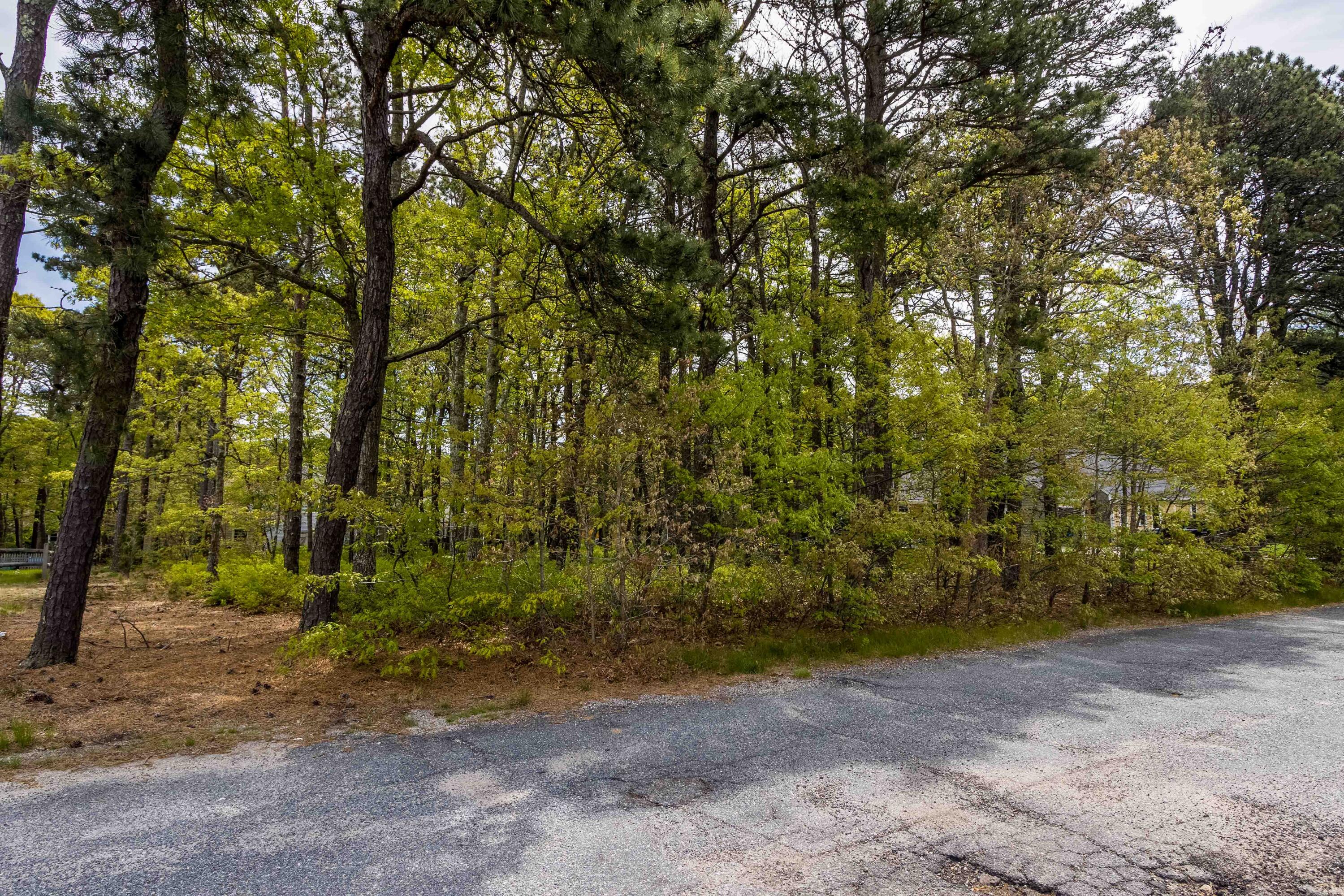 32 Captain Walsh Drive Dennis MA 02638