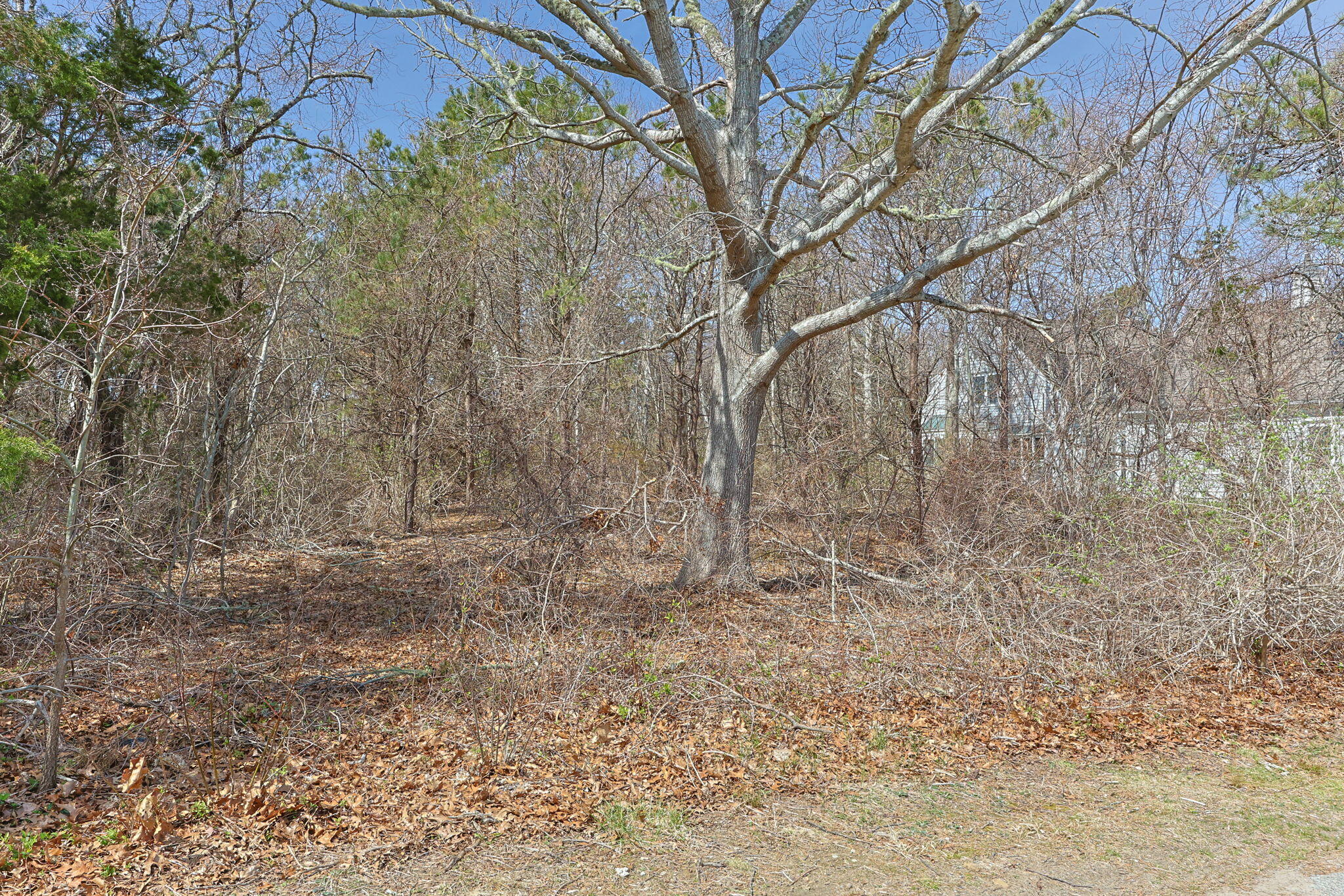 -0- Ambergris Circle, Unit -0-, Brewster MA — view 2