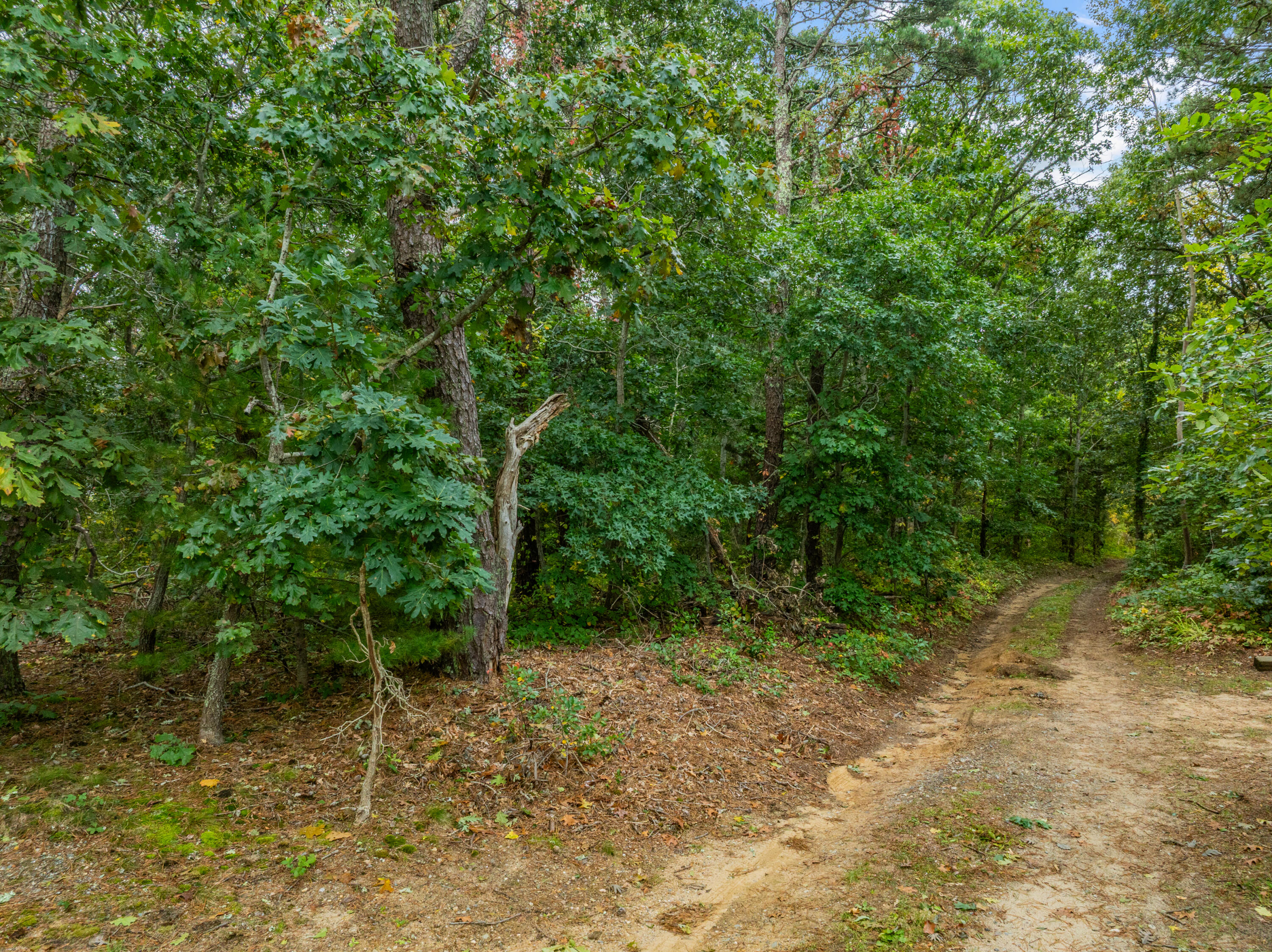 140 Philips Lane Eastham MA 02642