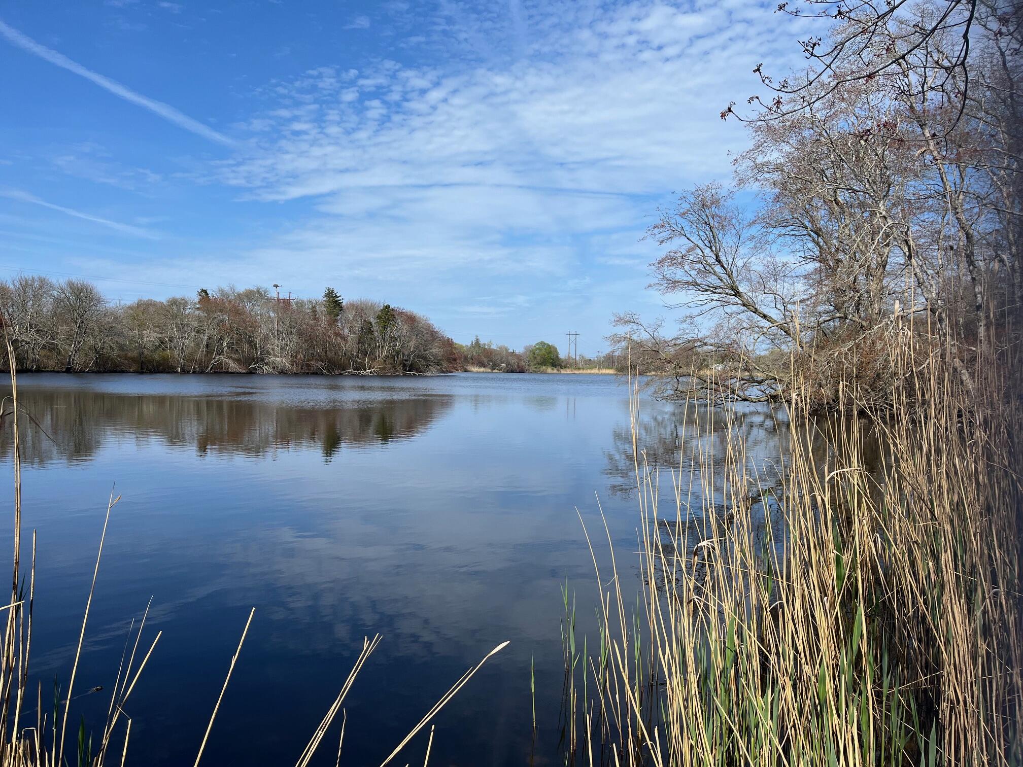 32 Locust Road Orleans MA 02653