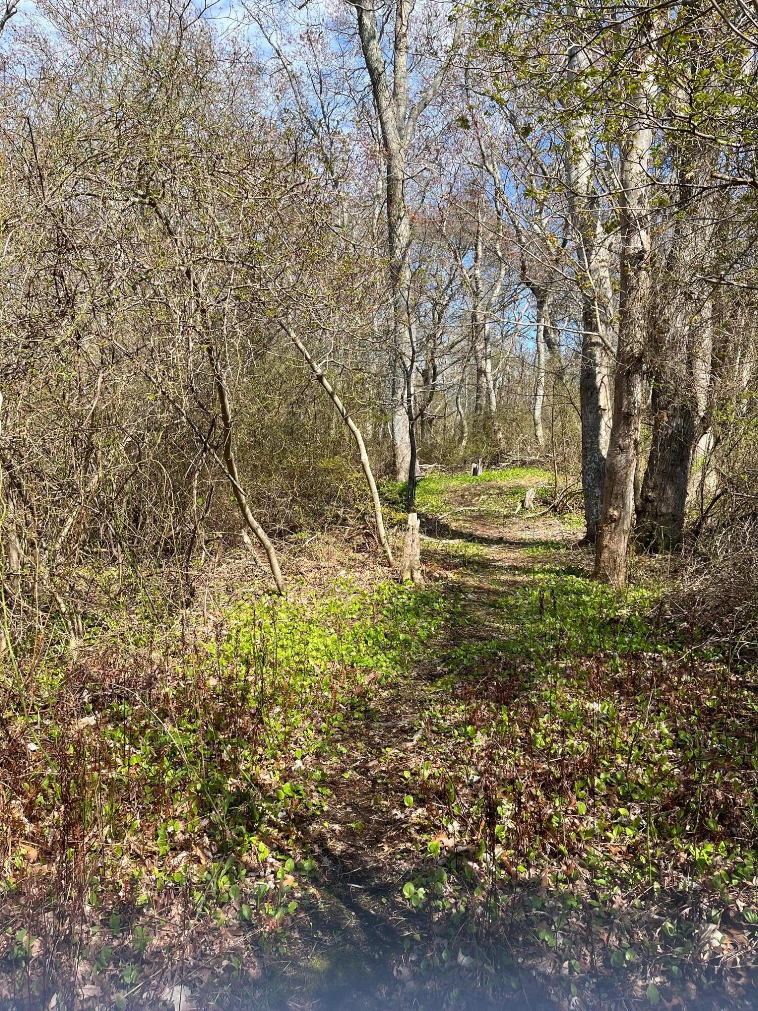 32 Locust Road Orleans MA 02653