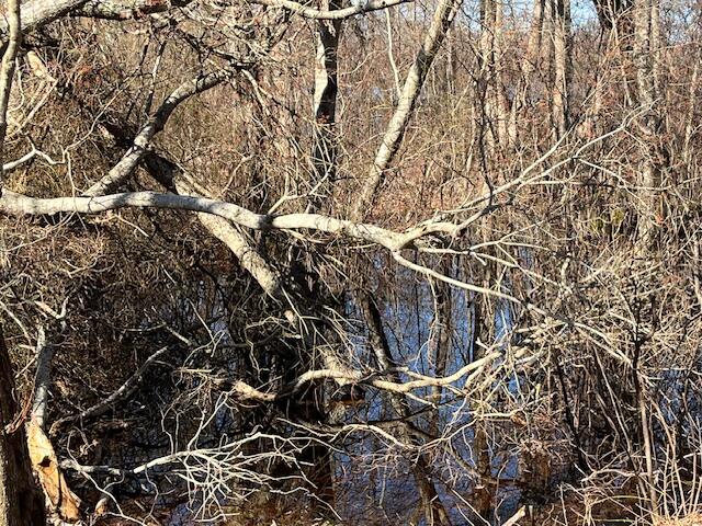 32 Locust Road Orleans MA 02653