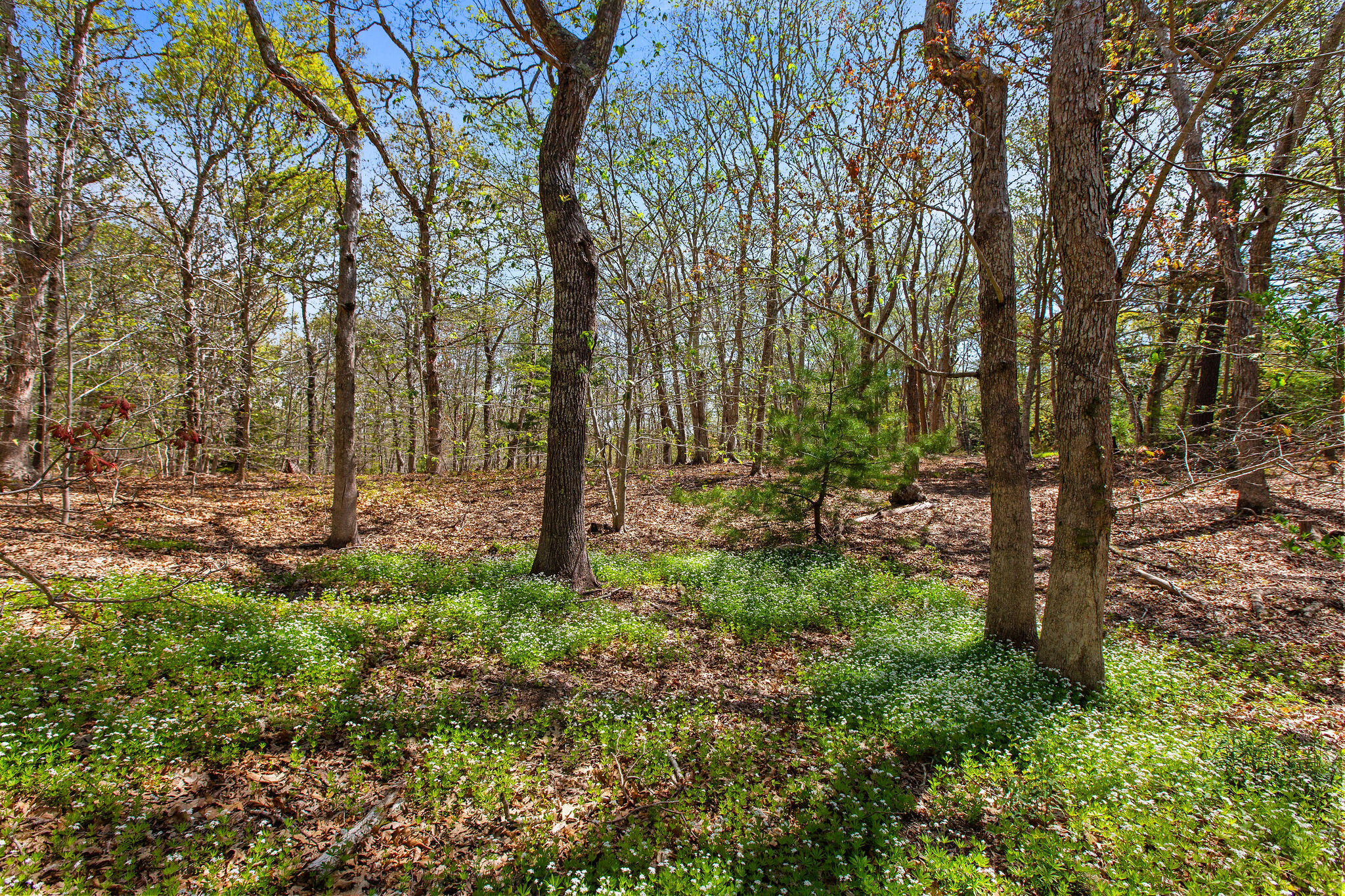 0 Landing Drive Brewster MA 02631