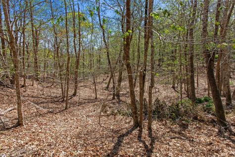 0 Landing Drive Brewster MA 02631
