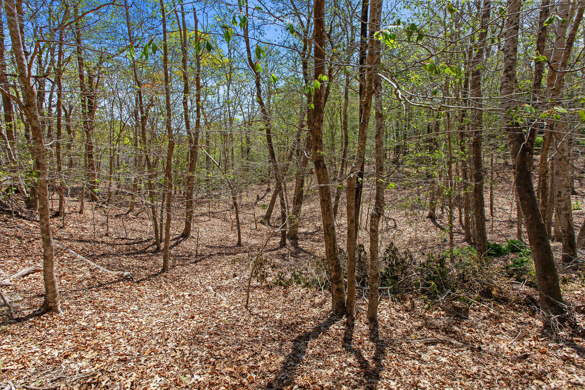 0 Landing Drive Brewster MA 02631