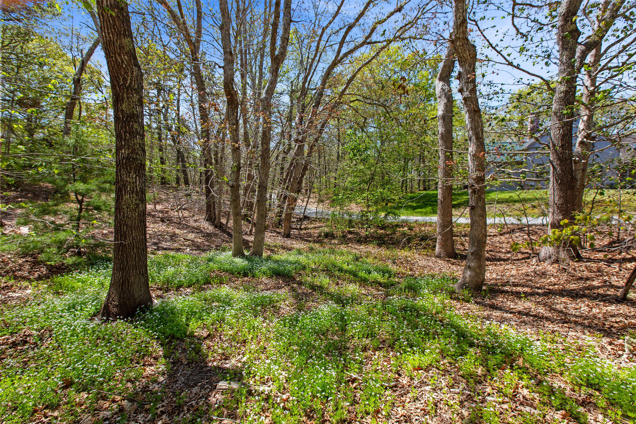 0 Landing Drive Brewster MA 02631
