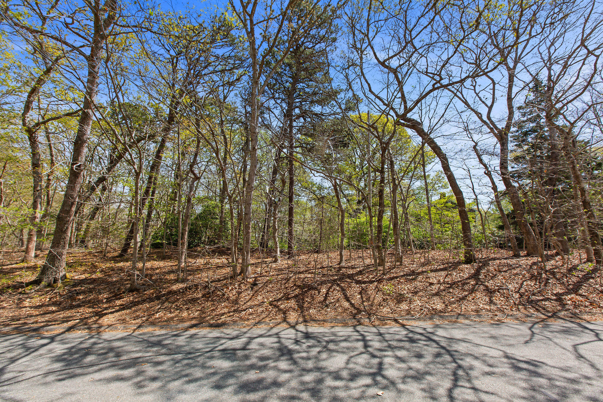 0 Landing Drive Brewster MA 02631