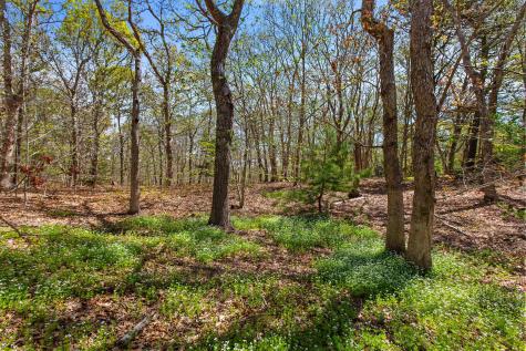 0 Landing Drive Brewster MA 02631