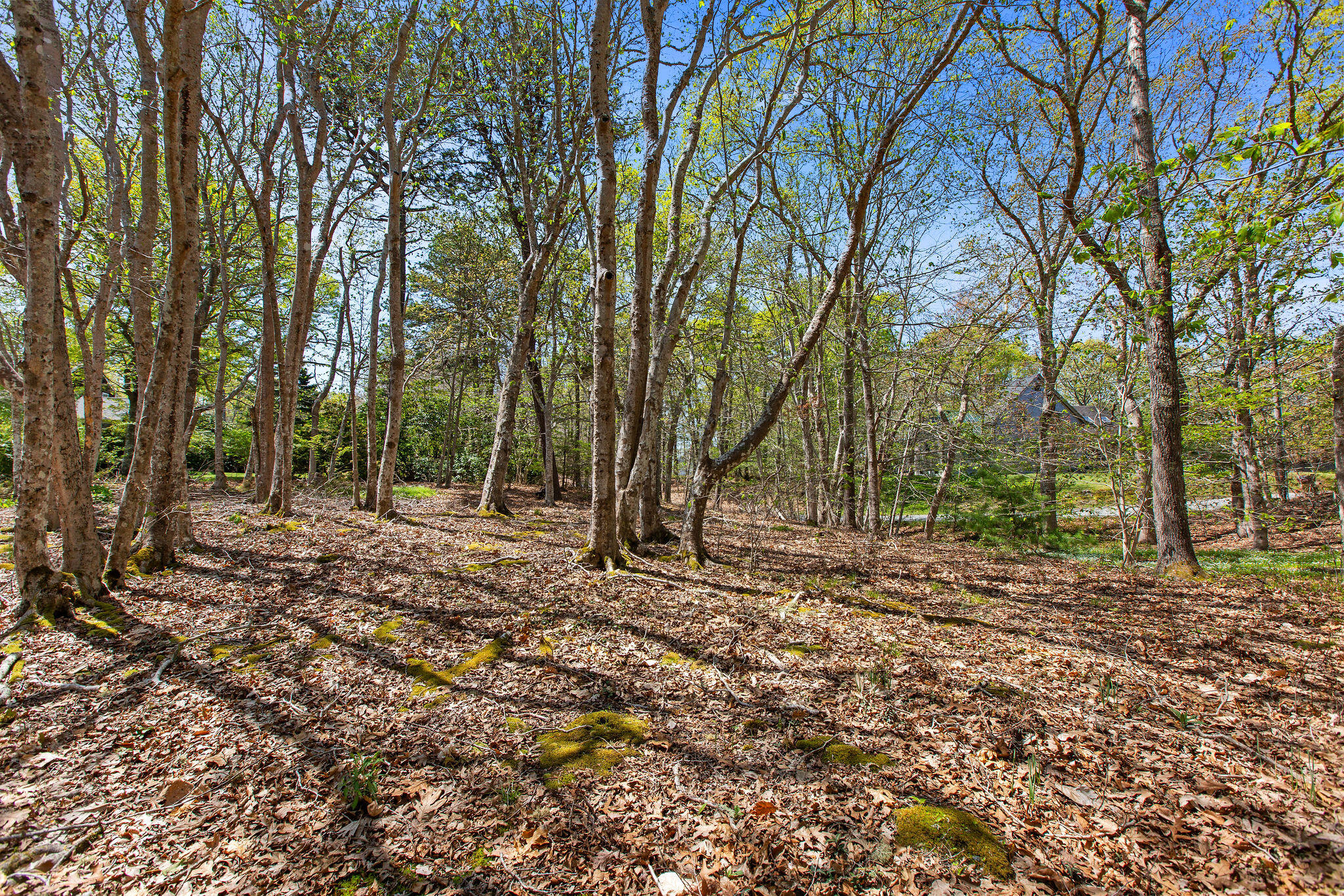 0 Landing Drive Brewster MA 02631