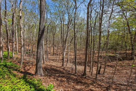 0 Landing Drive Brewster MA 02631