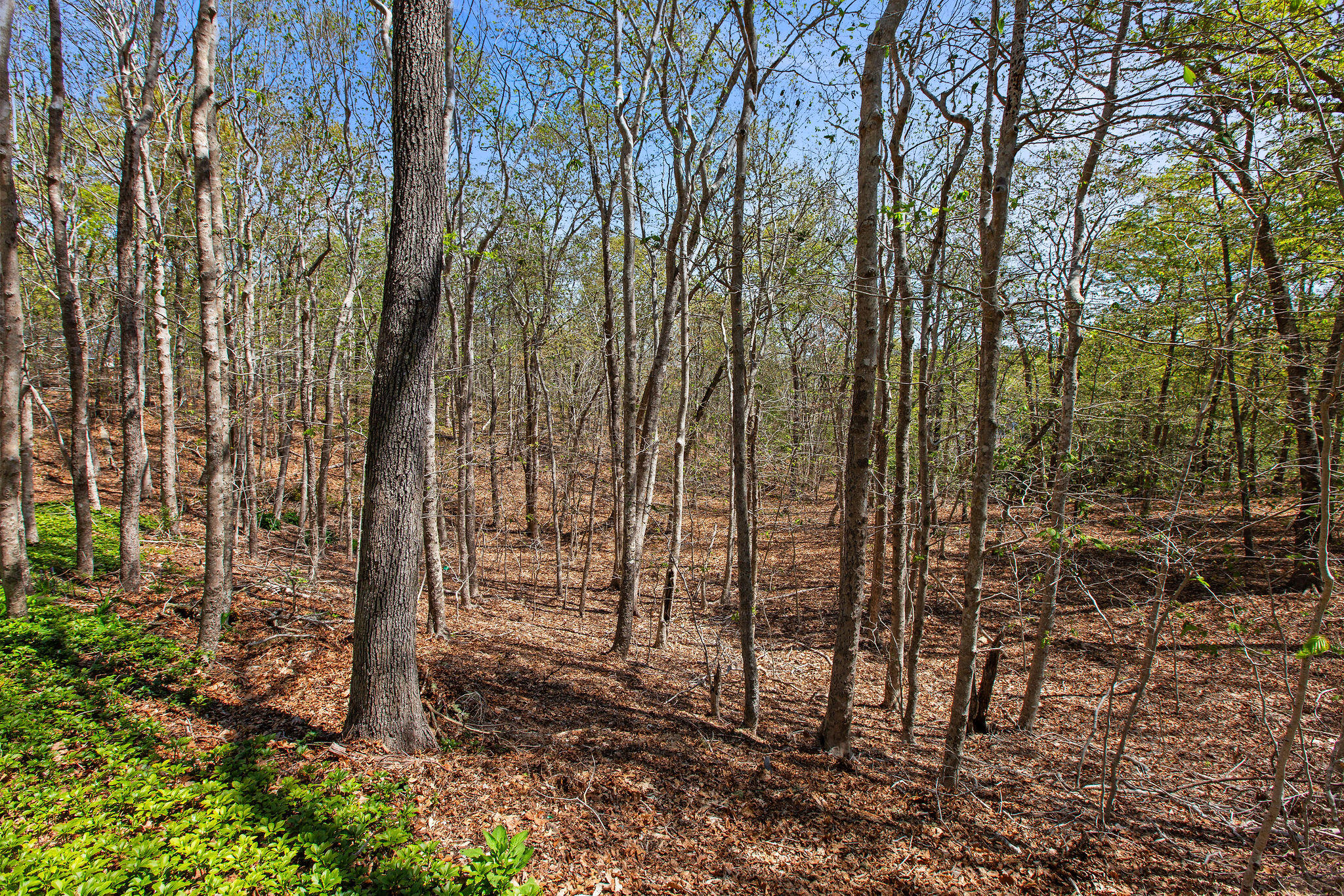 0 Landing Drive Brewster MA 02631