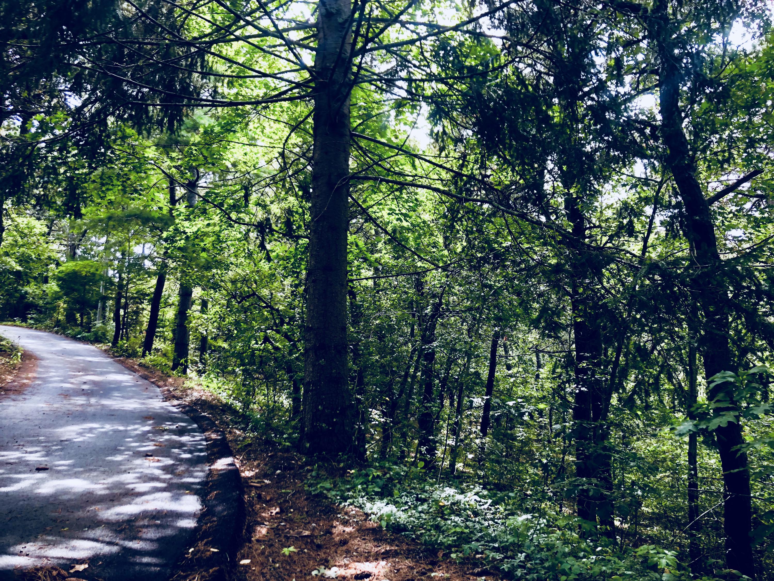 0 Evergreen Lane Chatham MA 02633